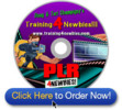 Thumbnail PRL for Newbies Videos make money internet marketing